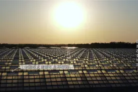 蔬菜改变中国｜占地八万平米 取代80%人工……打造“中国寿光型智能玻璃温室”样板图片