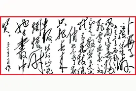 痴情最是梅花落图片