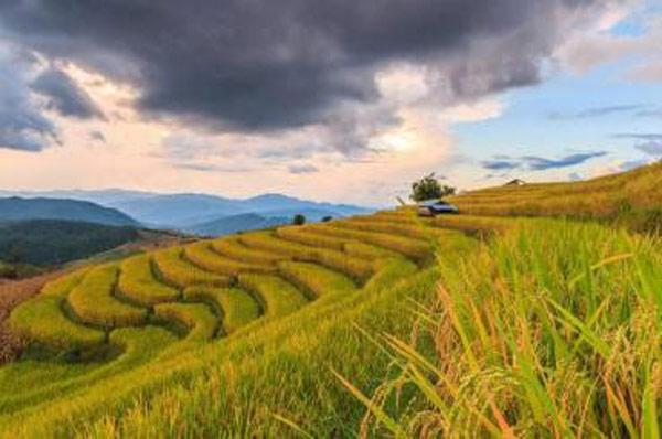 鍩哄洜缂栬緫鎶€鏈浣曡姘寸ɑ绉哥鈥滃彉搴熶负瀹濃€濓紵