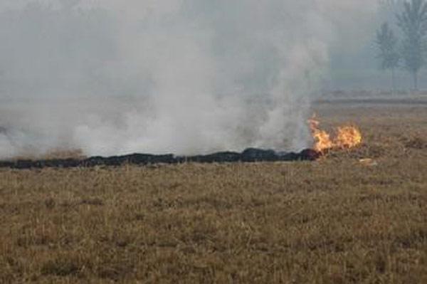 鍩哄洜缂栬緫鎶€鏈浣曡姘寸ɑ绉哥鈥滃彉搴熶负瀹濃€濓紵