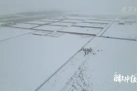 瞰中国|比大熊猫还珍稀？出门踏雪被拍到视频封面