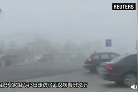 世卫专家称武汉实验室泄露病毒毫无根据，网友：让某些人失望了图片