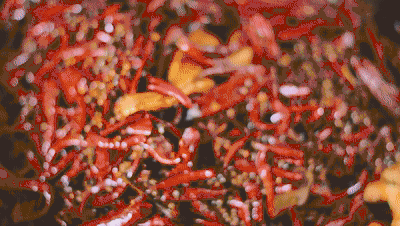 花椒有啥用 2026年花椒有啥用途