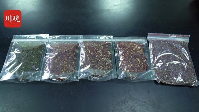 花椒有啥用 2026年花椒有啥用途