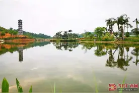 马山县林圩镇：“小投入”撬动“大效益”图片