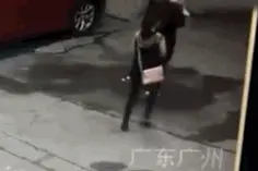 天降大狗伤人，谁应承担责任？我们问了12348律师图片