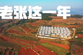 老张这一年图片