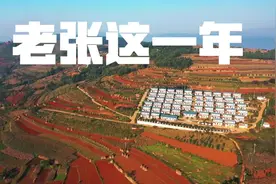 老张这一年：护林视频封面