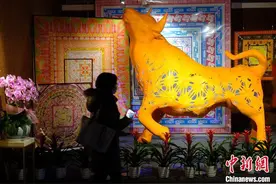 “十二生肖闹新春”展览亮相南京博物院图片