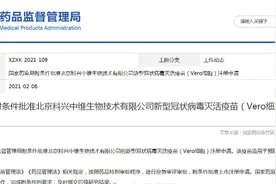 重磅！科兴新冠疫苗获批附条件上市，住院、重症及死亡病例保护效力100%！巴西将加购2000万剂！10万剂国药疫苗抵达澳门图片