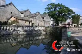 大田村嬗变记图片