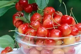 又是进口水果，这些涉疫“进口食品”要小心图片