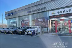 汽车"年货"哪家强？探访北京车市图片