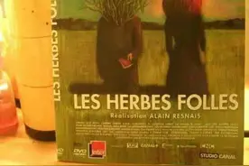 丹眼识慧｜请把野草珍藏图片