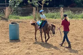 再获新技能！陈冠希陪女儿练骑马，Alaia神情专注又A又飒图片