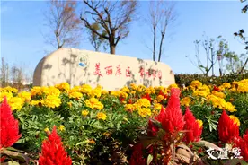 新春走基层│住上新房子 有了新工作 东海南辰水库移民迈进幸福新生活图片