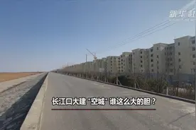 新华视点｜长江口大建“空城”谁这么大的胆？图片