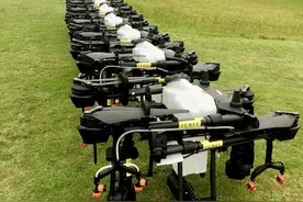 南非再批准用大疆农业无人机喷药，外媒：小农户福音，比传统飞机实用图片