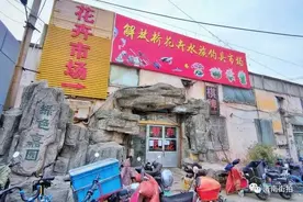 过年啦，济南街拍带你逛花市｜连逛了四个大型花卉市场图片