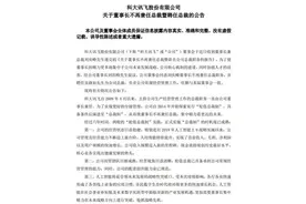 科大讯飞重大人事变动！董事长刘庆峰不再兼任总裁图片