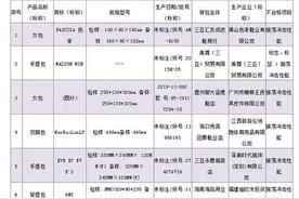 这几个品牌的包抽检不合格！别误买图片