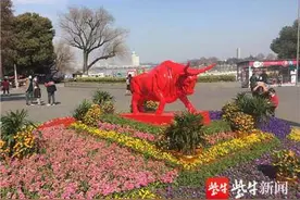 寓意吉祥！“红牛”成为南京玄武湖“最红打卡点”图片