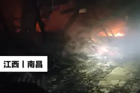 江西一养鸡场火灾7000多小鸡被烧死，鸡叫声让人心痛图片