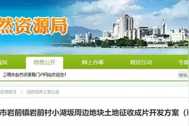 方案正在公示！三明岩前镇这处地块开发项目有新消息图片
