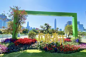 留深过年 美美的深圳准备好了图片