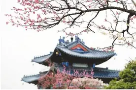 聊寄一枝春图片