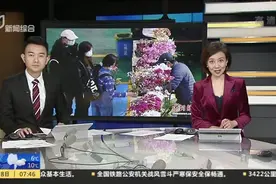 央视财经：云南斗南——春节临近选花忙  水仙兰花成年宵花主力视频封面