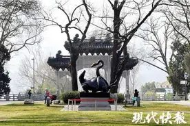 玄武湖添新地标图片