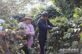 深度｜国产咖啡艰难“转身”图片