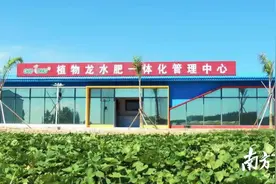 村民变“股民”！陆丰乡村的这些变化你都注意到了吗？图片