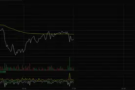 桃李面包回应员工持股计划未设业绩考核指标：将对员工进行ABCD考评图片