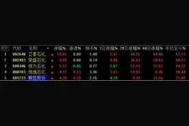 石油价格涨破60美元，这一近端化工品最为受益，公募基金持股集中度大增图片