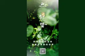 24节气！我们走过的春夏秋冬图片