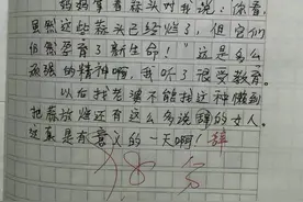 小学生写作文脑洞有多大？被“淹死”的金鱼太伤心了图片