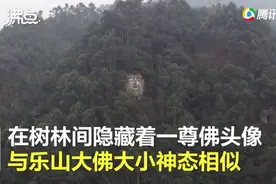 四川偏僻山村现乐山大佛“孪生兄弟”？当地政府回应让人意外图片