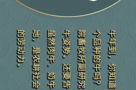 牛年话牛丨牛年将至 那些你所不知道的中国本土牛图片