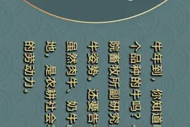 牛年话牛丨牛年将至 那些你所不知道的中国本土牛图片
