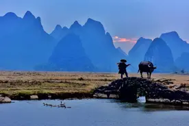 十四条理由告诉你，牛为什么“牛”？图片