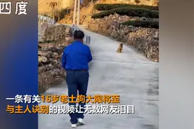 16岁土狗大限将至与主人诀别，三步一回头让无数网友泪目图片