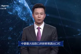 AI合成主播丨中蒙最大陆路口岸新鲜果蔬出口忙视频封面