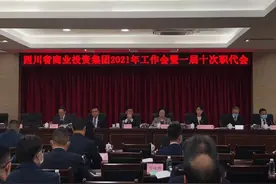 开局·国企策②|营收冲刺500亿 2021川商投布局“不一般”图片