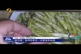 「丽江热线」别大意！食用四季豆一定要煮熟焖透