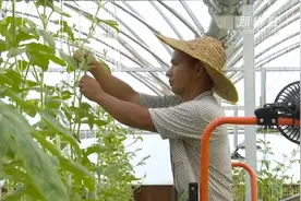 科技赋能推动产业接续乡村振兴视频封面