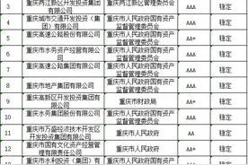 拓宽平台融资渠道 提高内生增长潜力——重庆市地方政府投融资平台转型发展评价报告发布图片