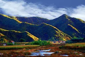 深入践行“两山”理念，打造国有林场生态建设“隆化样板”——河北隆化茅荆坝国有林场70年绿色发展纪实图片
