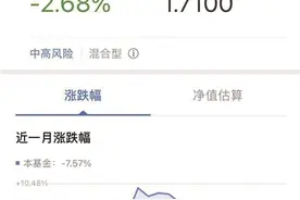 豪赌半导体 诺安成长混合“坐过山车”图片
